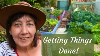 Back to the Veg Plot: Time to Get the Third Bed In and Planted! #8
