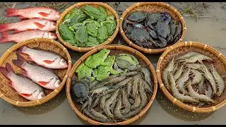 Sorting Colorful Rice Field Catch | Frogs, Fish, Turtles & Shrimp in Bamboo Baskets