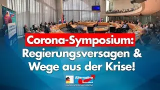 AfD Corona-Symposium: Regierungsversagen & Wege aus der Krise! - 4. Juli 2020