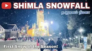 SHIMLA SNOWFALL ❄️ #shimla #shimlavlog #shimladay