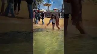 #sl #tamil #turtle #trip #vacation #funny #beach #trending #vibes #shorts #tiktok #reels #india #fk