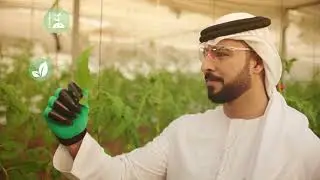 Silal, seeding a flourishing tomorrow