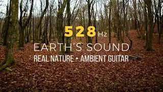 528Hz Solfeggio Frequency ｜Earth&rsquo;s Sound &lsquo;Forest of Renewal&rsquo;   Healing & Transformation｜再生の森