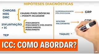 Insuficiência Cardíaca: Avaliação inicial