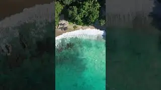 [Video] Beautiful beach and forest