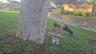 113pushups or 13SAG PUSHUPS January 29 2026, using a perfect pushup counter 