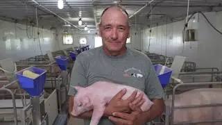 Meet Doug Dawson - 2019 America's Pig Farmer of the Year Finalist