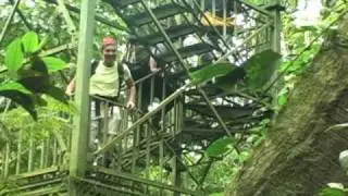 Healing Seekers - The Amazon Holds Vital Potential Cures