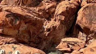 Valley of Fire State Park closed to all visitors for two weeks
