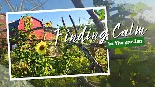 Finding Calm in the Garden | Reflections on Slowing Down & Embracing Change