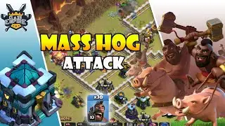 CRUSH ENEMY BASES with Mass Hog Attack Th13 | Best Th13 Attack Strategy  | Th13 Mass Hogs