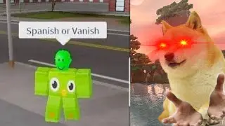 Doge reacts to Roblox Memes
