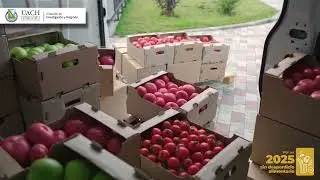 UACH: Por un 2025 sin desperdicio alimentario