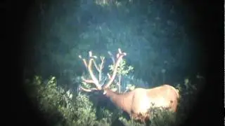 2011 CRO 7 point 2