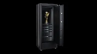 B&Z THE CHAMPION