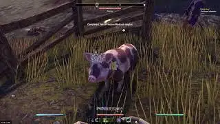 #1【24.03.29/A Noble Guest（カジート編）】【ESO/ENG Sub/No Commentary】