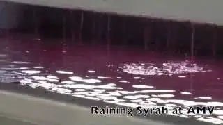 Raining Syrah