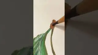 Realistic Cherry Drawing 🍒 @elizabethpearl8685 #art #fyp #viral #shorts #realism #cherry
