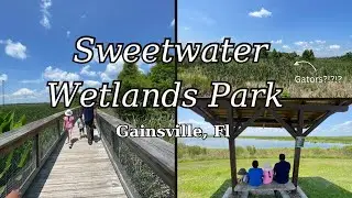 Sweetwater Wetlands Park, Florida | Everything You MUST Know Before You Go!