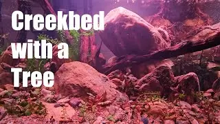 Square Creekbed tank with a tree out of the top