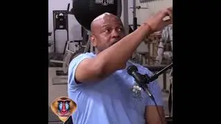 A li&ccedil;&atilde;o mais chocante de um pai: O que os esquilos fazem e como isso se aplica a voc&ecirc;?