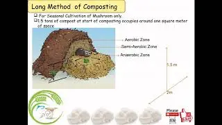 Mushroom Cultivation: Long Method Composting/Seasonal Cultivation