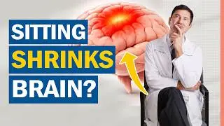 Neuroscientist Warns: Sitting Is Shrinking Your Brain (And Exercise Doesn’t Cancel It)