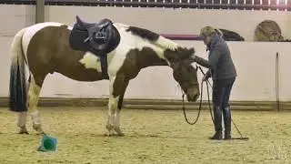 Linda Parelli Clinic and Demo promo 2019