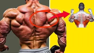 Комплексная тренировка для спины для достижения максимальной мышечной массы, силы и ширины.
