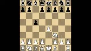 Hou Yifan played draw against Nepo