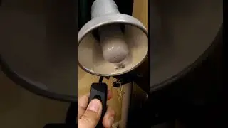 V 20181109 202635