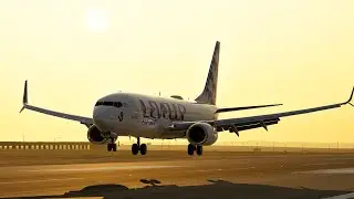 X-PLANE 12 | Levelup 737-800 | Beautifull morning landing | Charles-De-Gaulle | LFPG