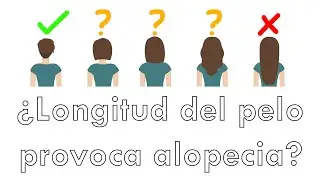 ¿Longitud del pelo provoca alopecia?
