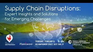 Supply Chain Disruptions: Expert Insights & Solutions for Emerging Challenges