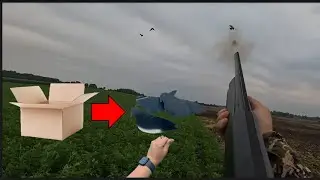 Decoying Pigeons Using Decoys made from a Cardboard Box