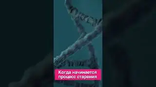 Когда начинается процесс старения человека (А.Коляда) | Экспертное мнение