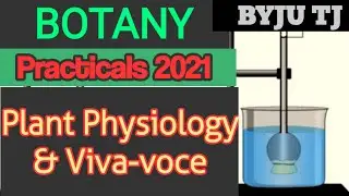 Botany practical 2022/physiology experiment & Viva-voce/covid19 pandemic/malayalam