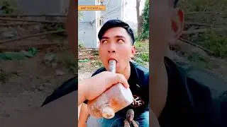 #woodworking #comedy #funny