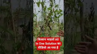 All In On Solution का कमाल | #Shorts #agriculture #farming #farmer