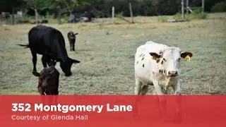 352 Montgomery Lane Moody, Texas 76557 | Glenda Hall | Top Real Estate Agent