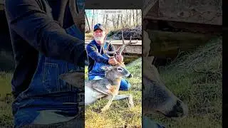 Sell Your Timber for $3,000 an Acre | Tennessee White Oak Prices 2025