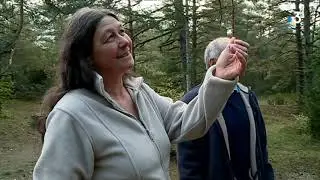Une terre Kanak sur le Larzac en Aveyron