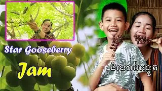 Star Gooseberry In My Village Making Gooseberry Jam Eating