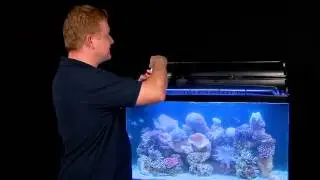 How to save your tank with SEACHEM PRIME - Fish Tails with Paul Talbot