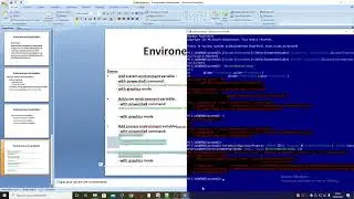 Environment variables
