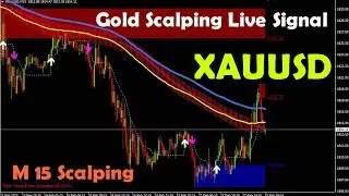 🔴 LIVE FOREX SCALPING TRADING SIGNAL INDICATOR  - XAUUSD GOLD SIGNALS  Forex Bangla Live Stream