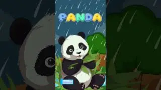 Funny Facts about Panda Bears #kidslearning #truefacts true facts #panda