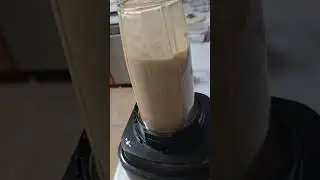 Mango Mangus
