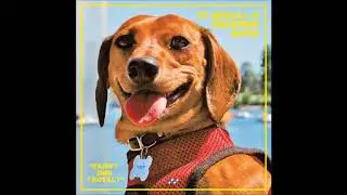 Ty Segall & Freedom Band - Fanny Dog (Royal)