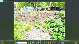 Eatable Landscaping competition?